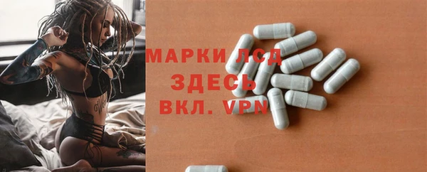 apvp Галич