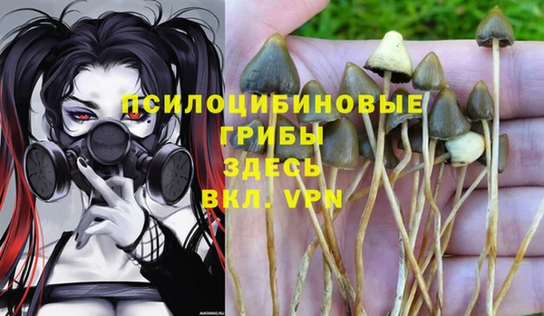 a pvp Баксан