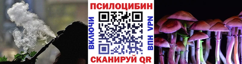 Галлюциногенные грибы мухоморы  Буинск 